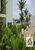 Apartamento, 2 quartos, 55 m² - Foto 11