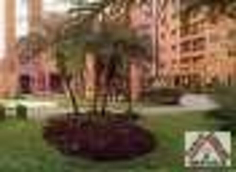 Apartamento, 3 quartos, 64 m² - Foto 2
