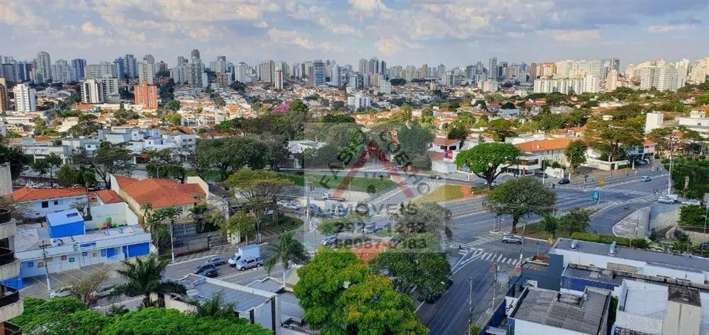 Apartamento, 4 quartos, 211 m² - Foto 4