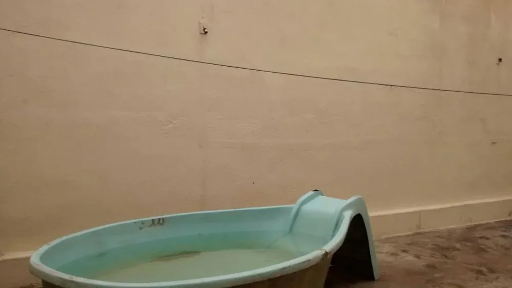 Casa, 3 quartos, 50 m² - Foto 1