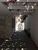 Casa, 3 quartos, 192 m² - Foto 2