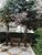 Apartamento, 2 quartos, 48 m² - Foto 8