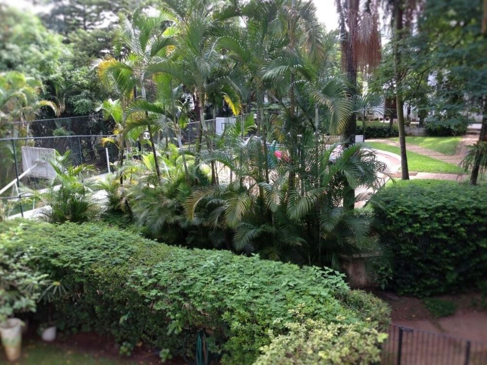 Casa, 4 quartos, 360 m² - Foto 4