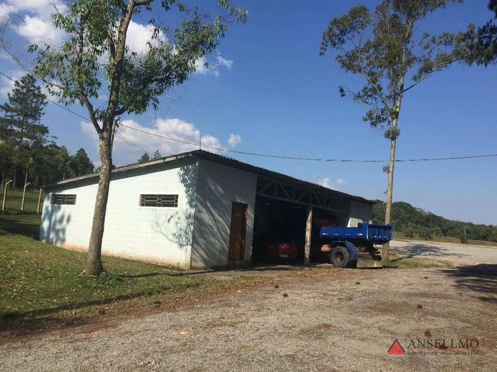Terreno, 4 hectares - Foto 4
