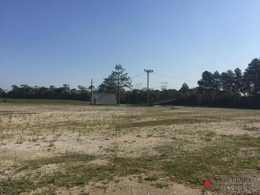 Terreno, 4 hectares - Foto 8