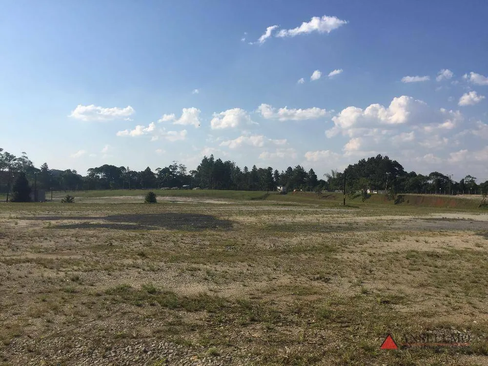 Terreno, 4 hectares - Foto 8