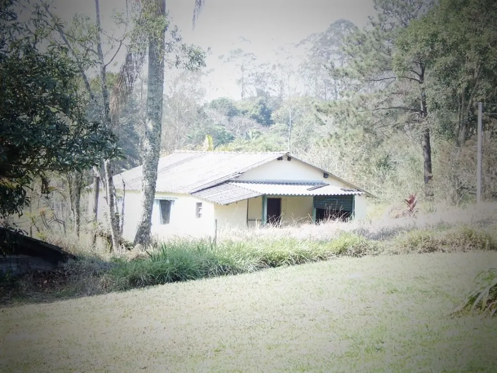 Terreno, 3 hectares - Foto 6