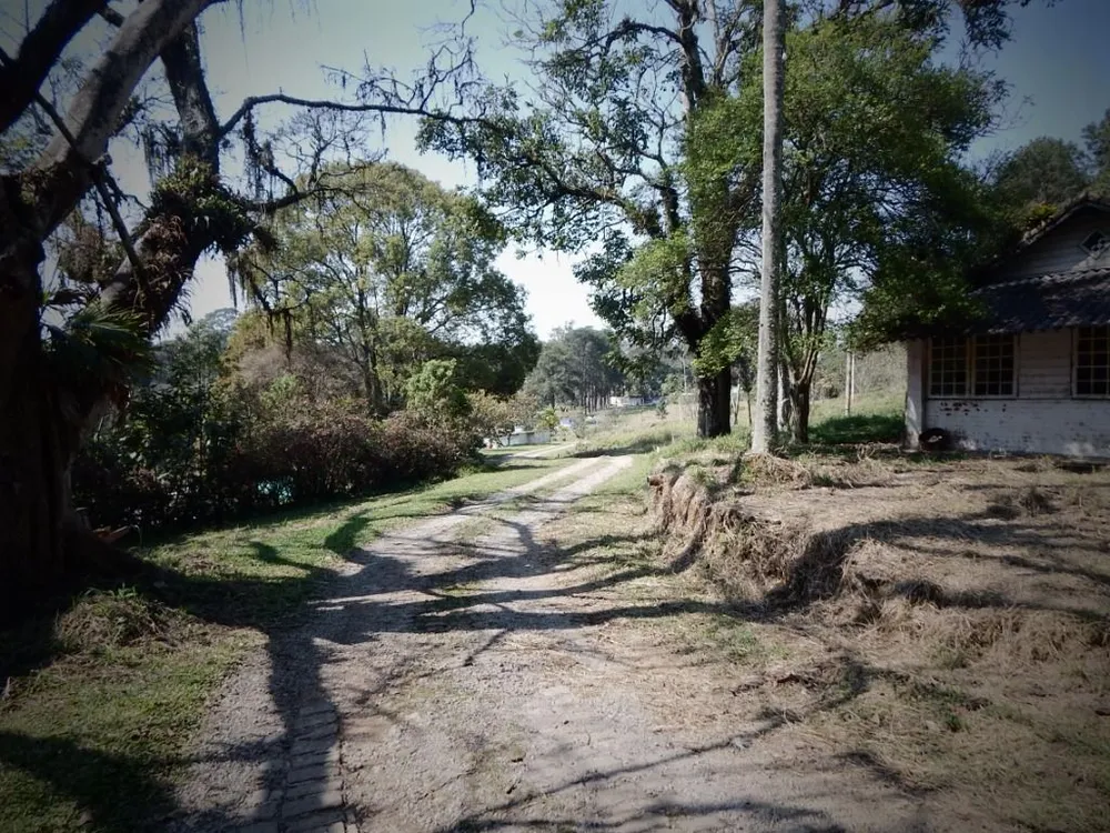 Terreno, 3 hectares - Foto 7