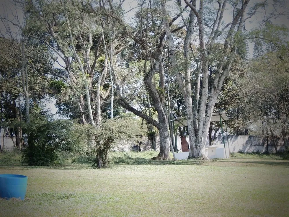 Terreno, 3 hectares - Foto 2