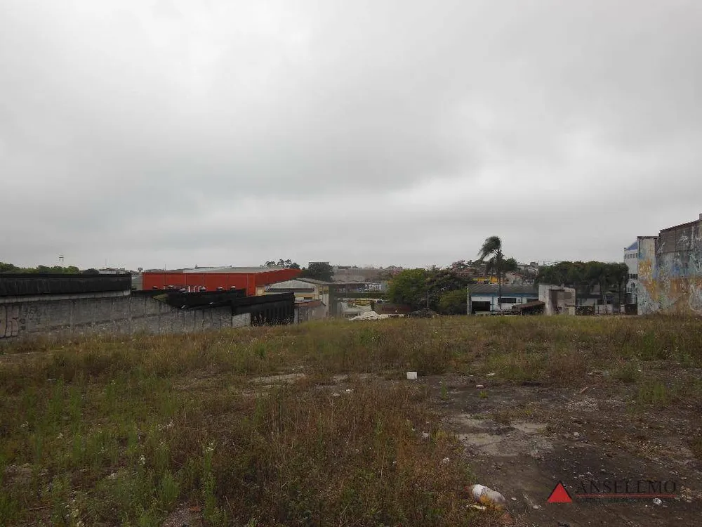 Terreno, 5000 m² - Foto 3