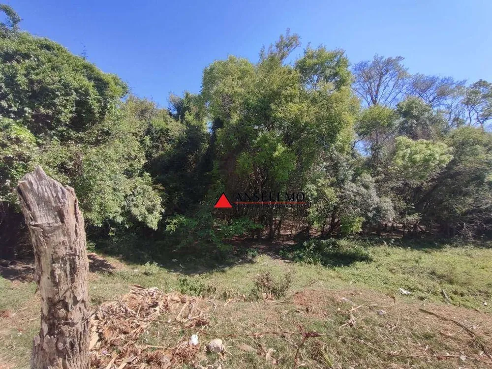 Terreno, 6 hectares - Foto 13