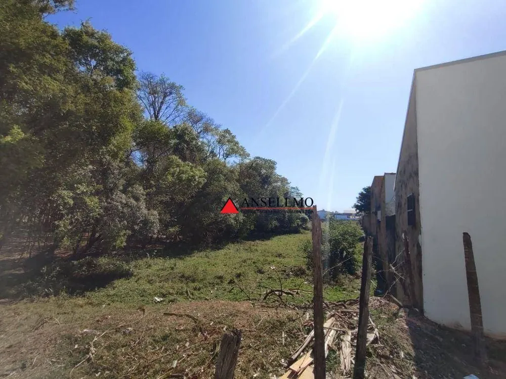 Terreno, 6 hectares - Foto 3