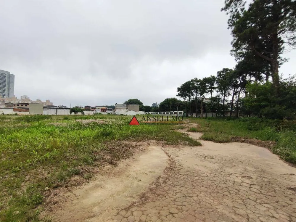 Terreno, 1 hectares - Foto 7