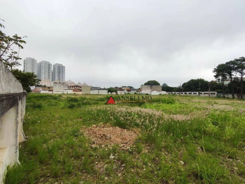 Terreno, 1 hectares - Foto 3