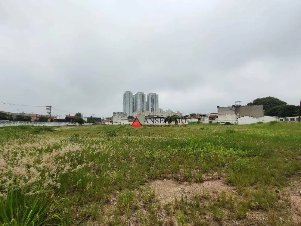 Terreno, 1 hectares - Foto 1