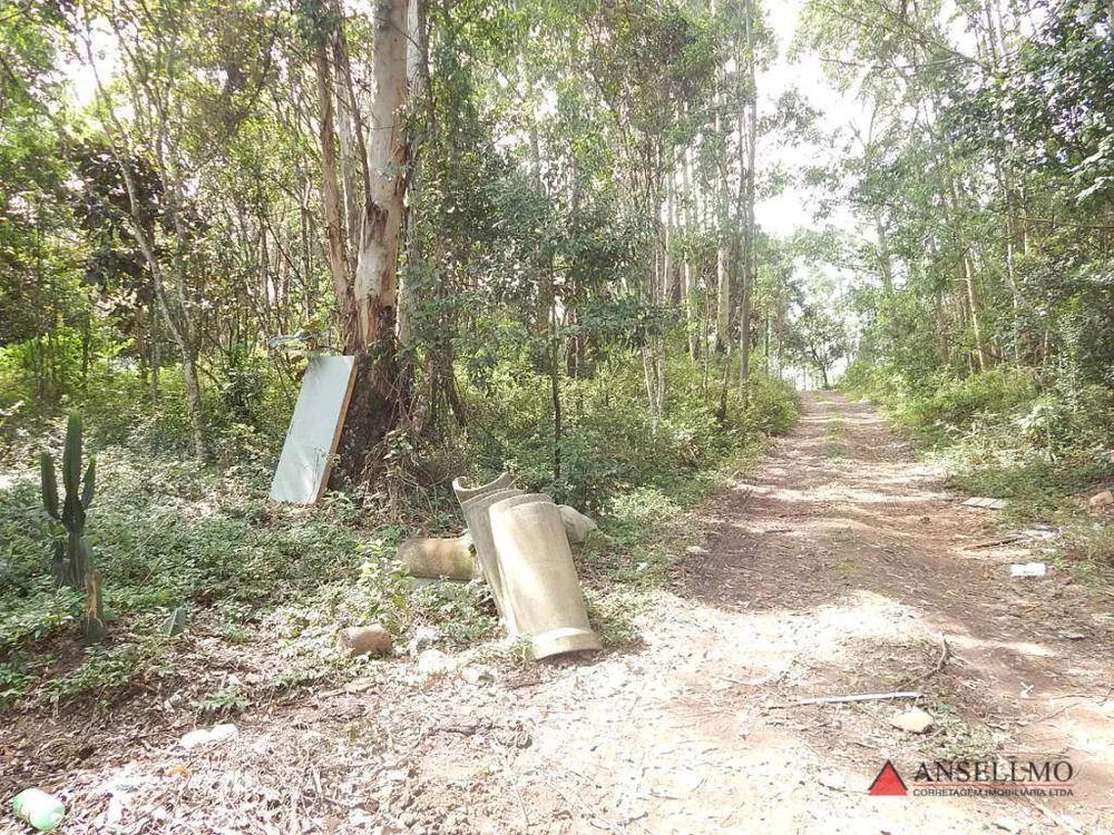 Terreno, 5 hectares - Foto 1