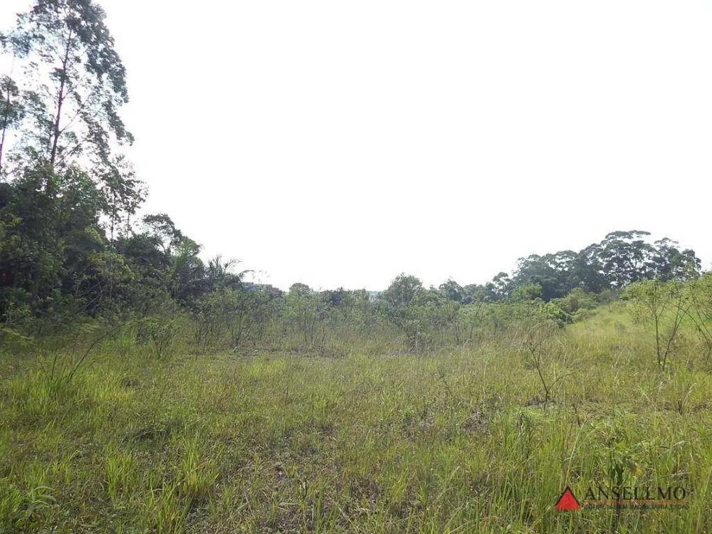 Terreno, 2 hectares - Foto 3