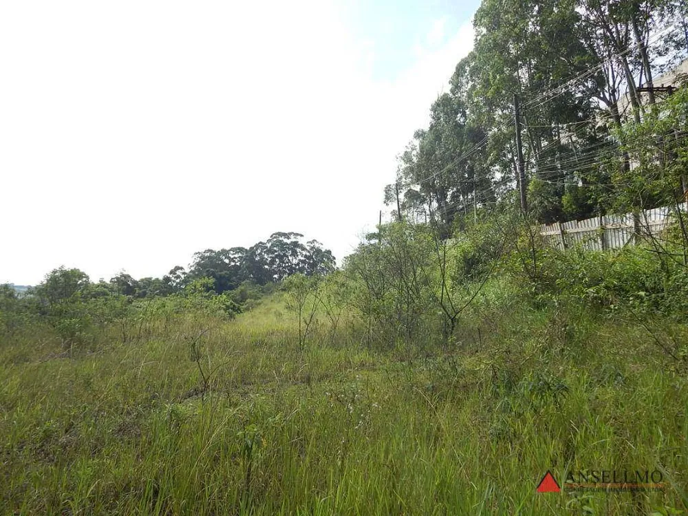Terreno, 2 hectares - Foto 4