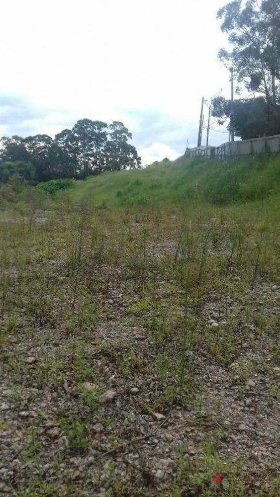 Terreno, 2 hectares - Foto 6