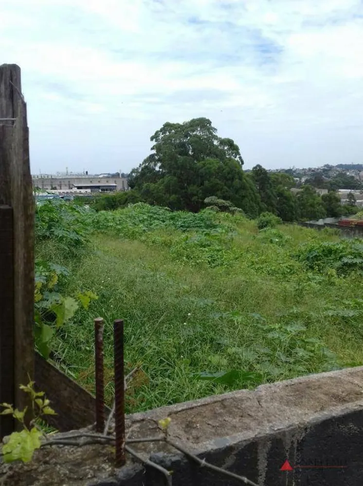 Terreno, 2 hectares - Foto 2