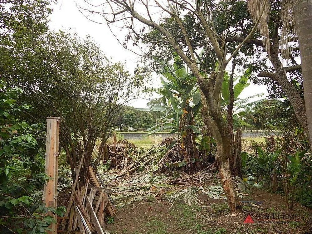 Casa, 3 quartos, 250 m² - Foto 5