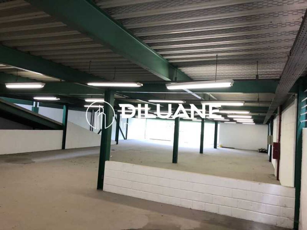Depósito-Galpão, 1500 m² - Foto 4