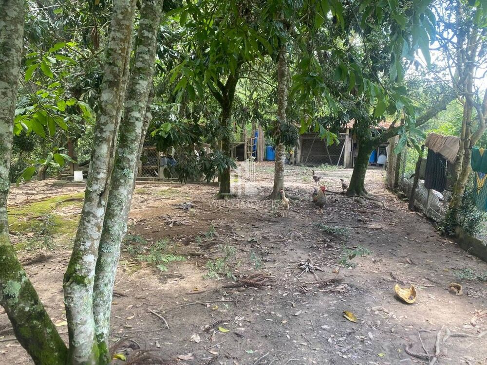 Chácara, 3 quartos - Foto 18