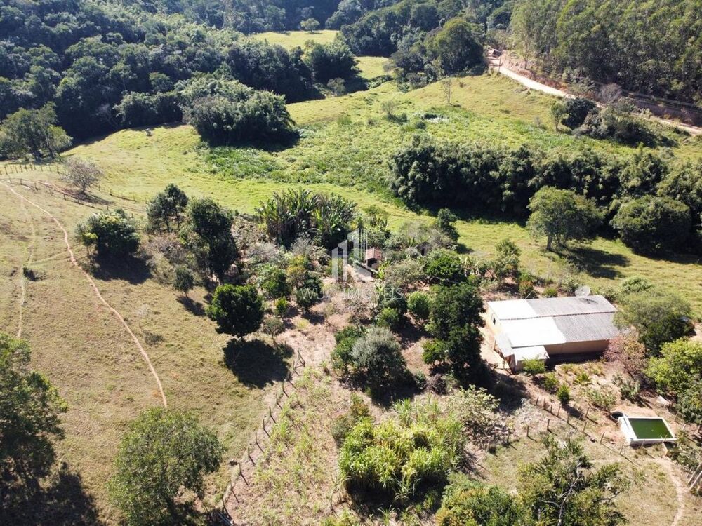Sítio à venda com 2 quartos, 10000m² - Foto 4