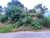 Terreno, 271 m² - Foto 3