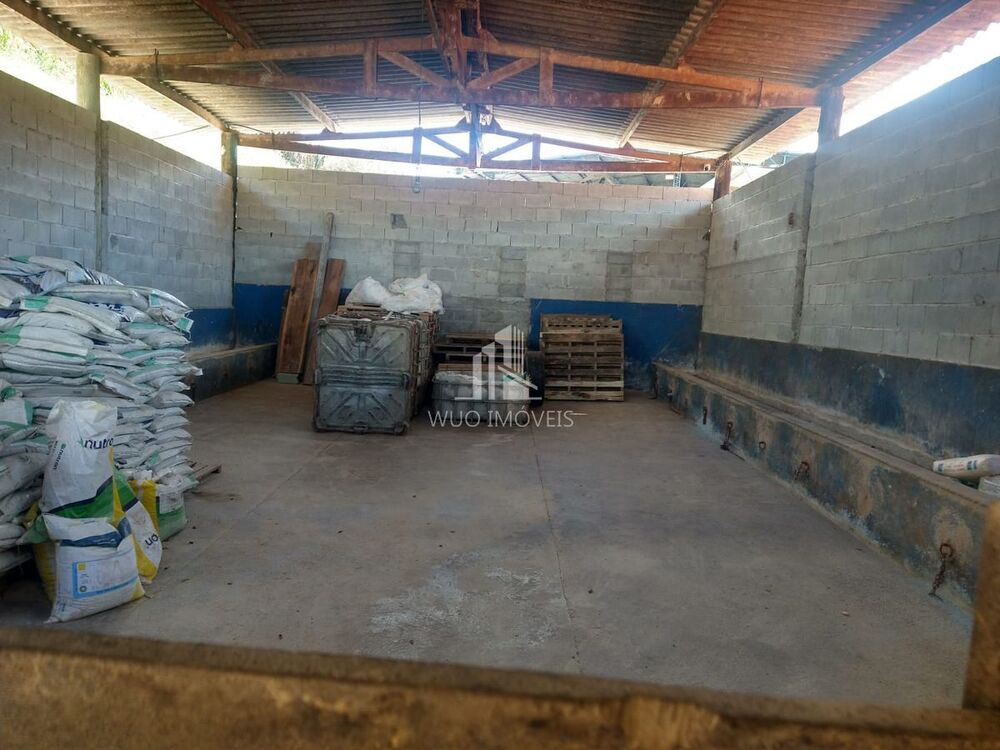 Depósito-Galpão - Foto 1