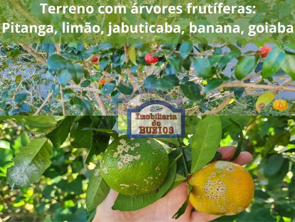 Casa, 4 quartos, 217 m² - Foto 57