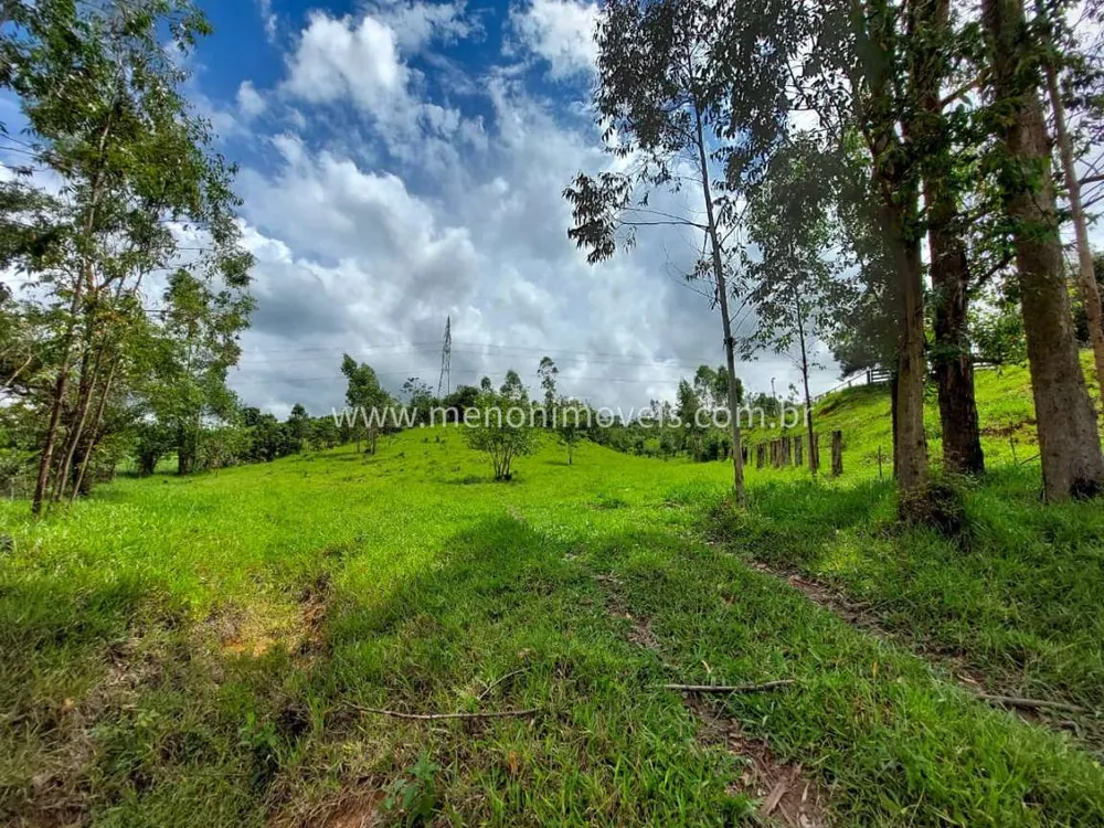 Sítio, 2 hectares - Foto 1