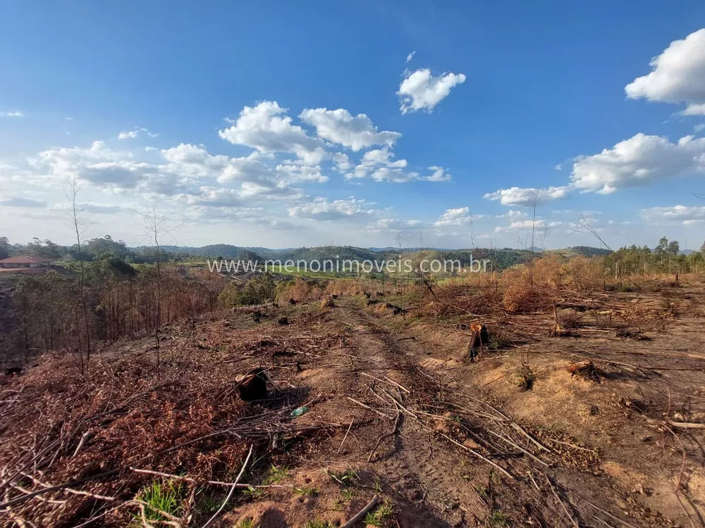 Sítio, 3 hectares - Foto 2