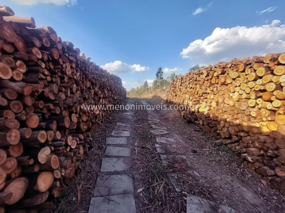 Sítio, 3 hectares - Foto 1