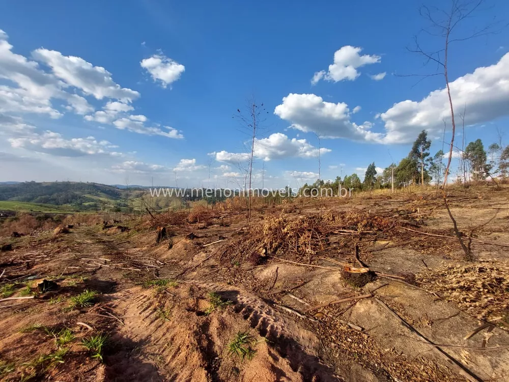 Sítio, 3 hectares - Foto 3