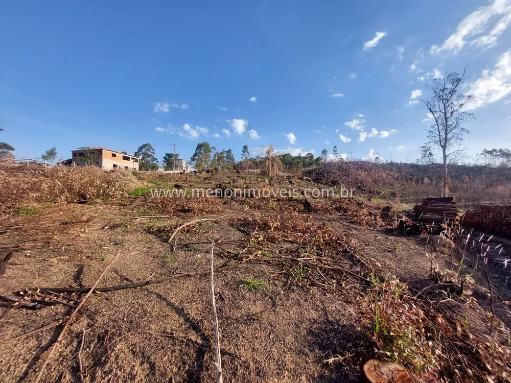 Sítio, 3 hectares - Foto 4
