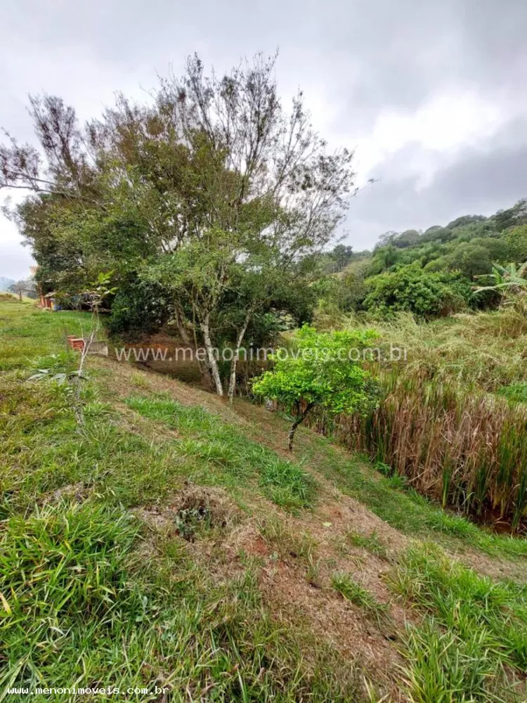 Chácara, 2 quartos, 2500 m² - Foto 2