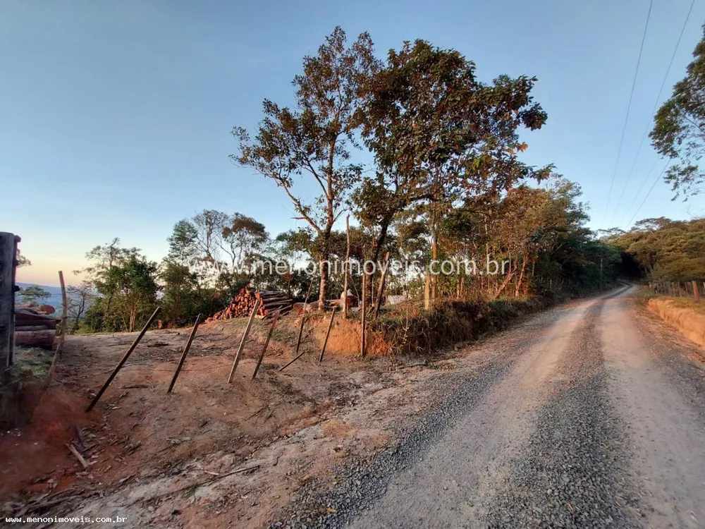 Sítio, 5 hectares - Foto 2