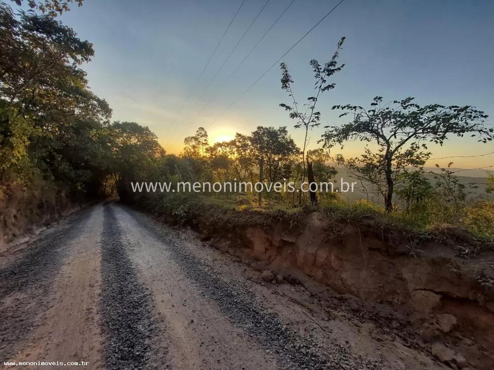 Sítio, 5 hectares - Foto 4