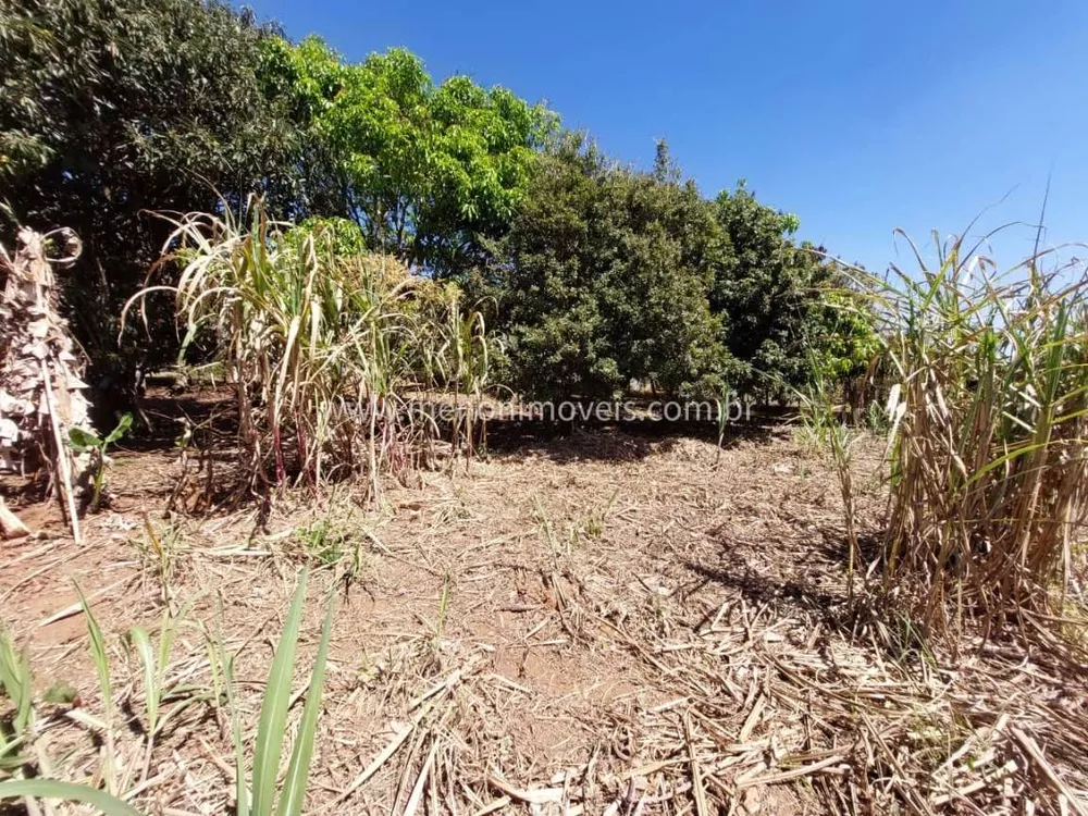 Chácara, 8500 m² - Foto 3