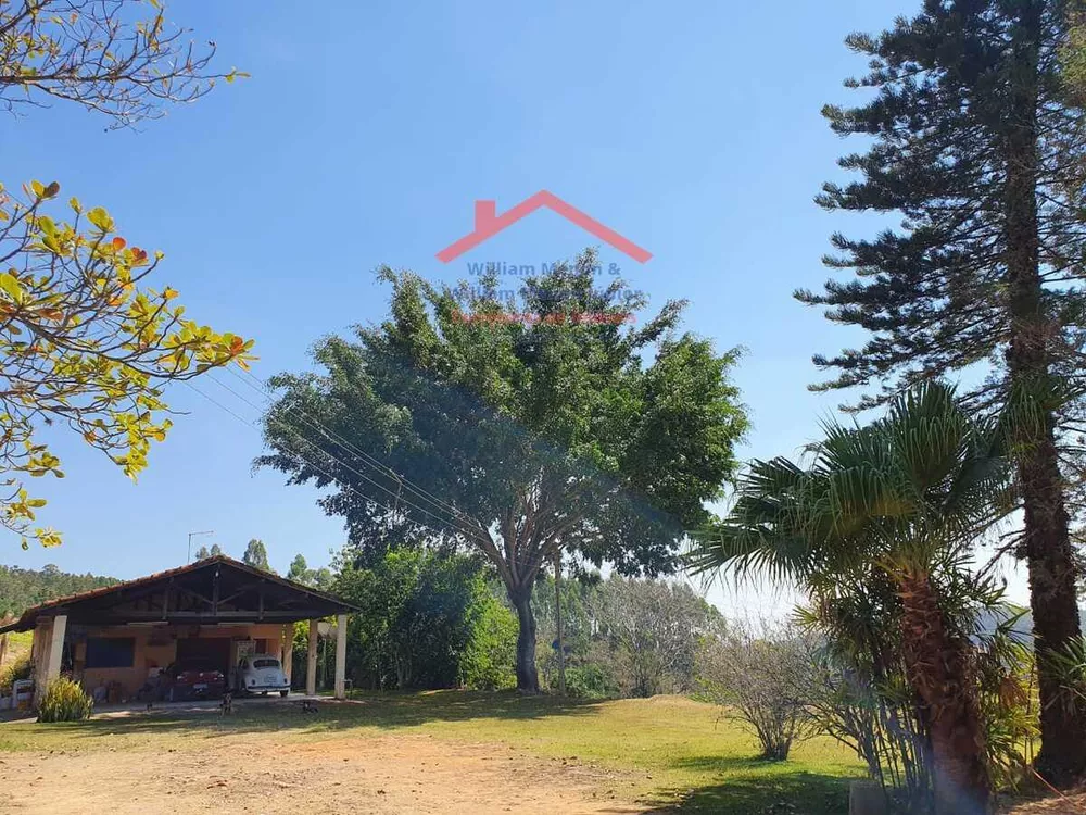 Sítio, 4 hectares - Foto 2