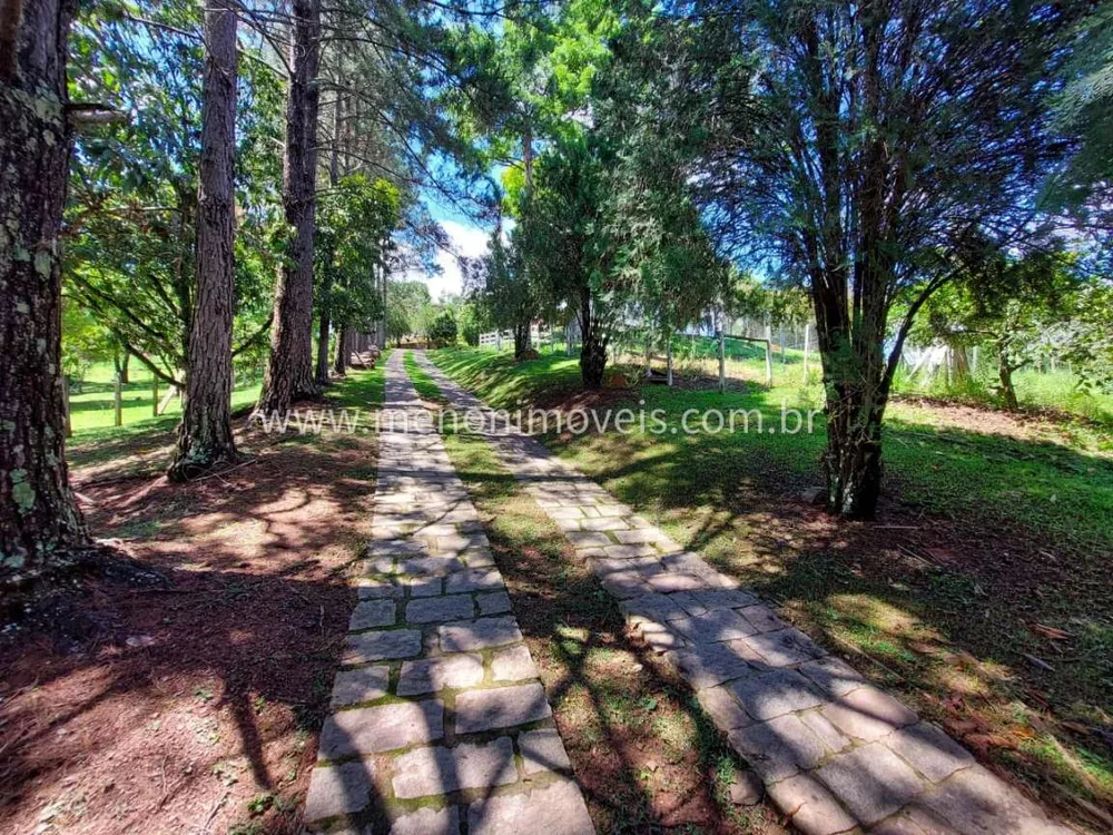 Sítio, 3 quartos, 2 hectares - Foto 4