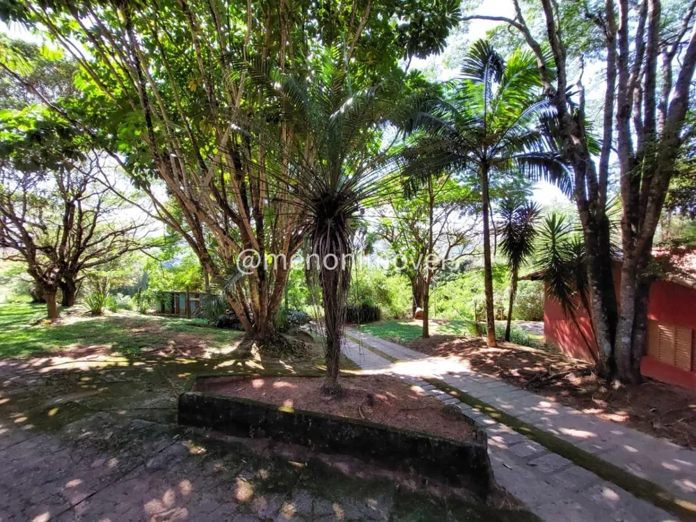 Sítio, 3 hectares - Foto 11