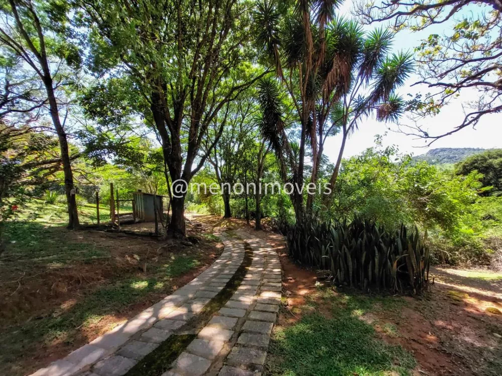 Sítio, 3 hectares - Foto 4