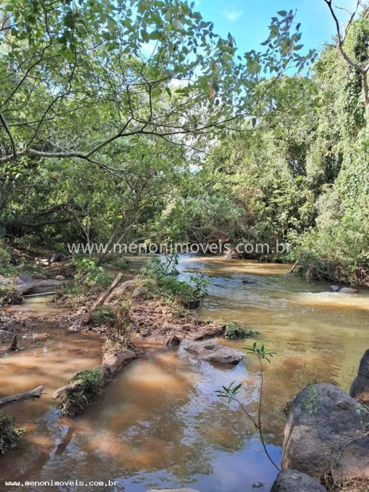 Sítio, 2 hectares - Foto 4