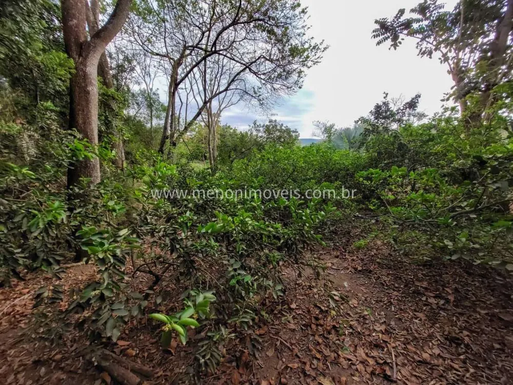 Chácara, 3 quartos, 7500 m² - Foto 7