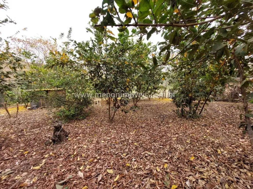 Chácara, 3 quartos, 7500 m² - Foto 6