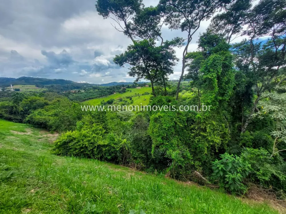 Sítio, 3 quartos, 4 hectares - Foto 4