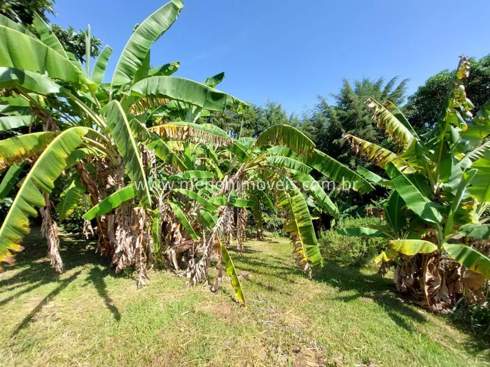 Chácara, 4 quartos, 1000 m² - Foto 4