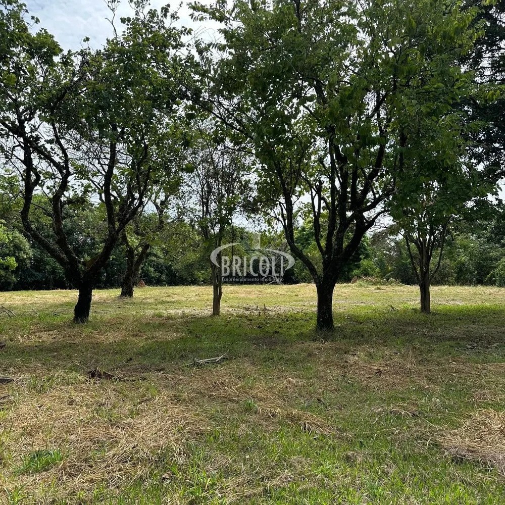 Sítio - Foto 6
